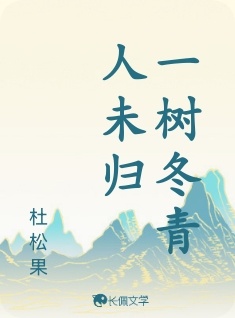 一树冬青人未归