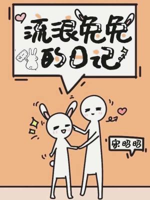 流浪兔兔的日记