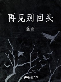 再见别回头作品封面