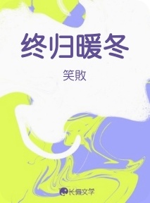 终归暖冬作品封面