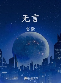 无言作品封面