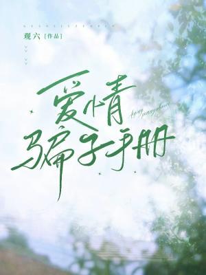 爱情骗子手册