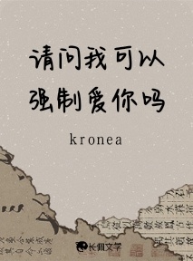 请问我可以强制爱你吗_kronea著_长佩文学网