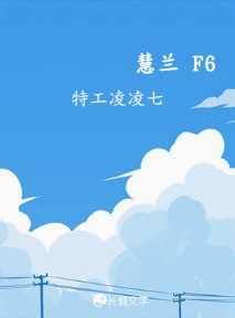 慧兰 F6作品封面