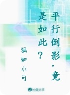 平行倒影，竟是如此？作品封面