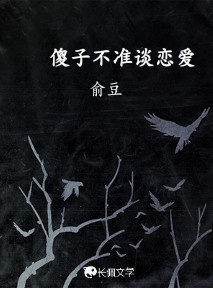 傻子不准谈恋爱作品封面