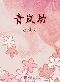 青岚境作品封面