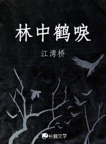 林中鹤唳作品封面