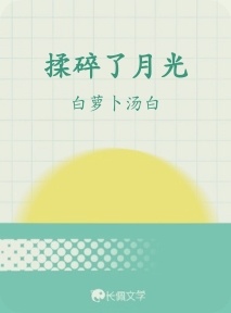 揉碎了月光