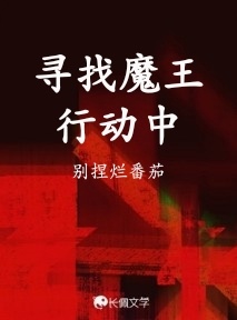 寻找魔王行动中作品封面