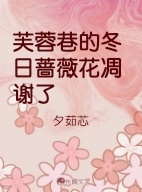 芙蓉巷的冬日蔷薇花凋谢了