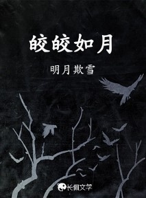 皎皎如月作品封面