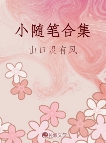 小随笔合集作品封面