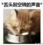 作者头像