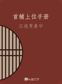 首辅上位手册作品封面