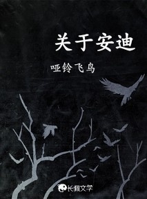 关于安迪