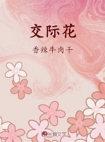 交际花作品封面