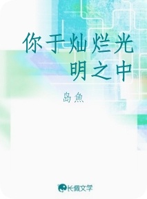 你于灿烂光明之中作品封面