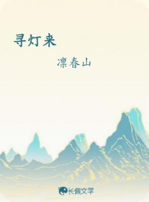 寻灯来作品封面