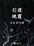 引渡晚霞作品封面