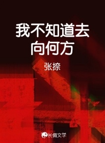 我不知道去向何方作品封面