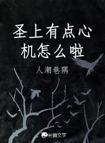 圣上有点心机怎么啦作品封面