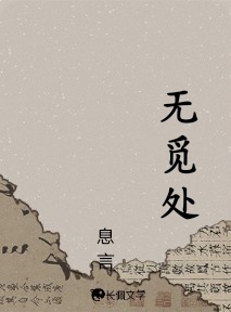 无觅处作品封面