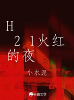 H 2 1火红的夜作品封面