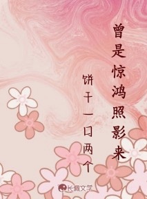 曾是惊鸿照影来
