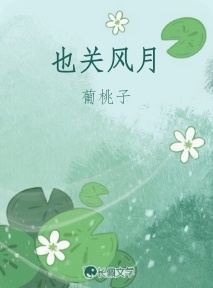 风月无岸