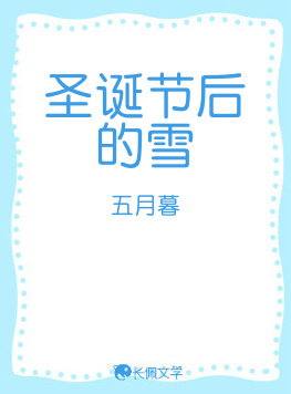 圣诞节后的雪