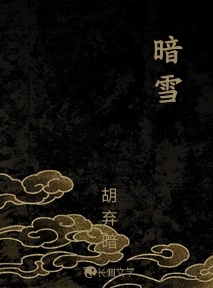 暗雪_胡弃暗著_长佩文学网