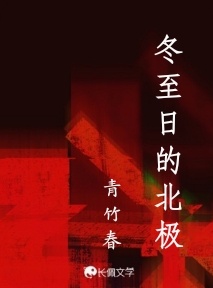 冬至日的北极