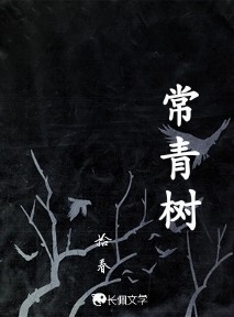 常青树