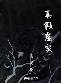 真假虚实
