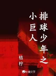 排球少年之小巨人_桔柠著_长佩文学网