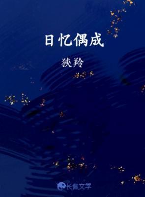 日忆偶成