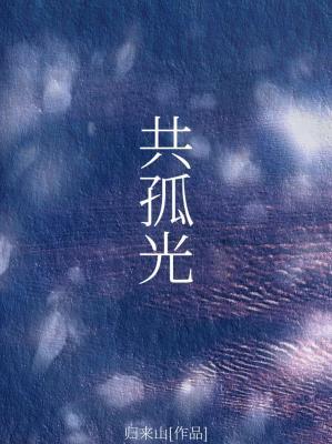 共孤光