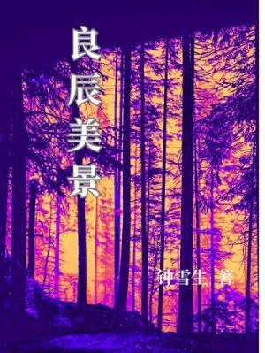 良辰美景