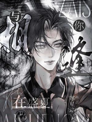 与你相逢在盛夏