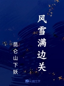 风雪满边关
