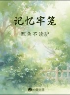 记忆牢笼