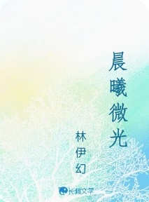 晨曦微光