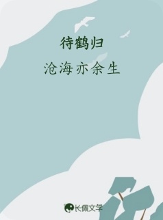 待鹤归_沧海亦余生著_长佩文学网