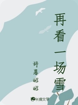 再看一场雪