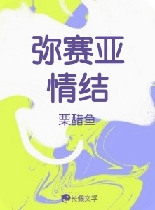 弥赛亚情结_栗醋鱼著_长佩文学网