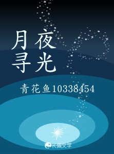 月夜寻光