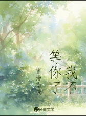 我不等你了