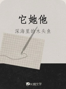 它她他