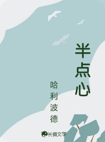 半点心